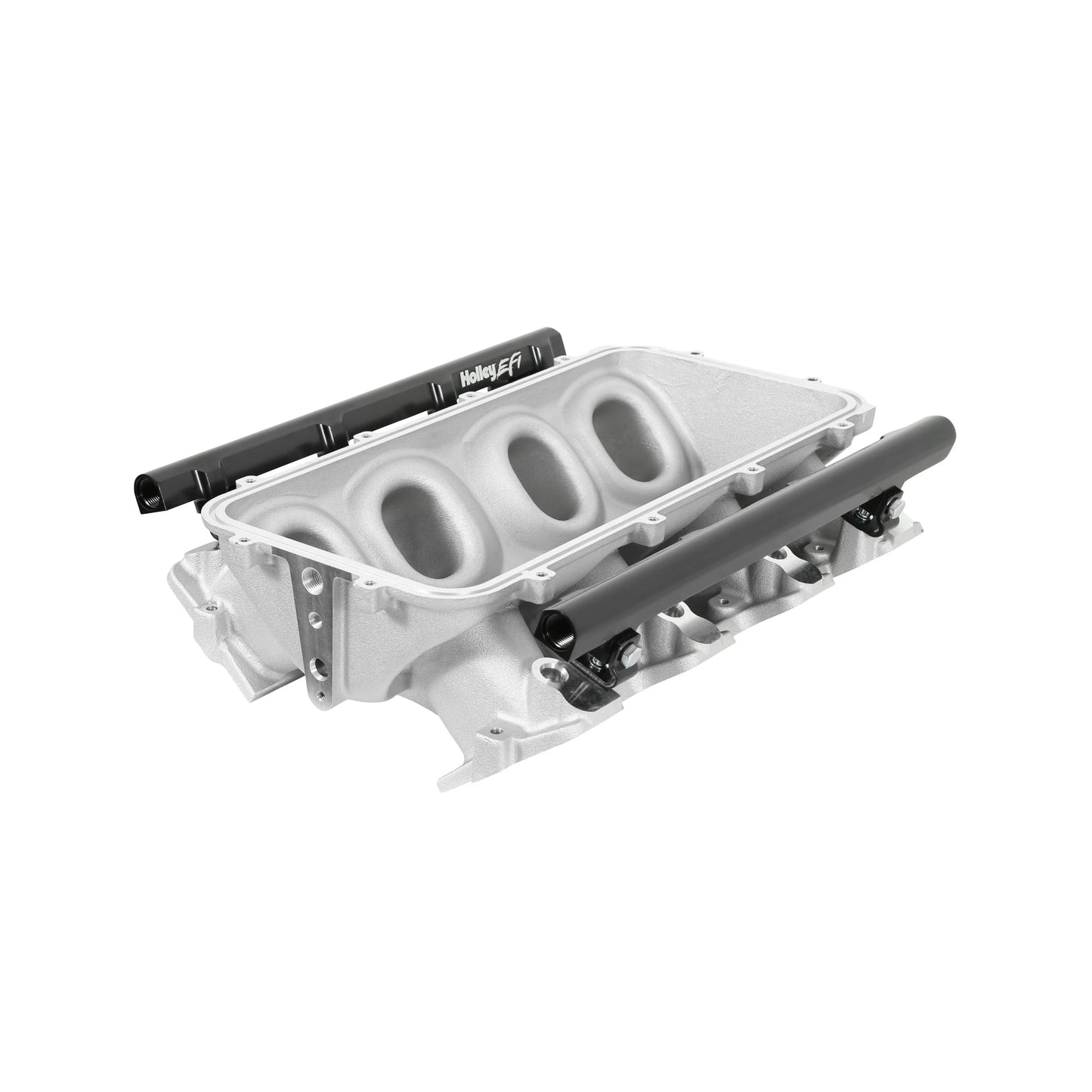Holley Lo-Ram Manifold Base and Fuel Rails (LS)